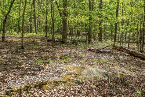 0 Deepwoods Road Sewanee TN 37375