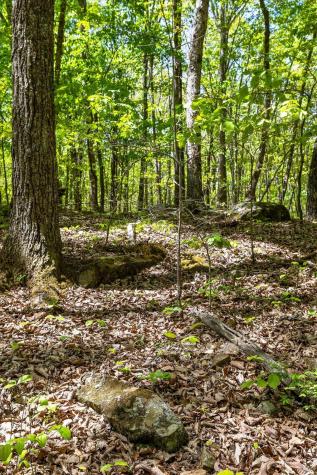 0 Deepwoods Road Sewanee TN 37375