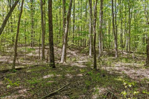 0 Deepwoods Road Sewanee TN 37375