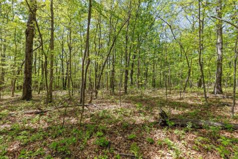 0 Deepwoods Road Sewanee TN 37375