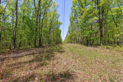0 Deepwoods Road Sewanee TN 37375
