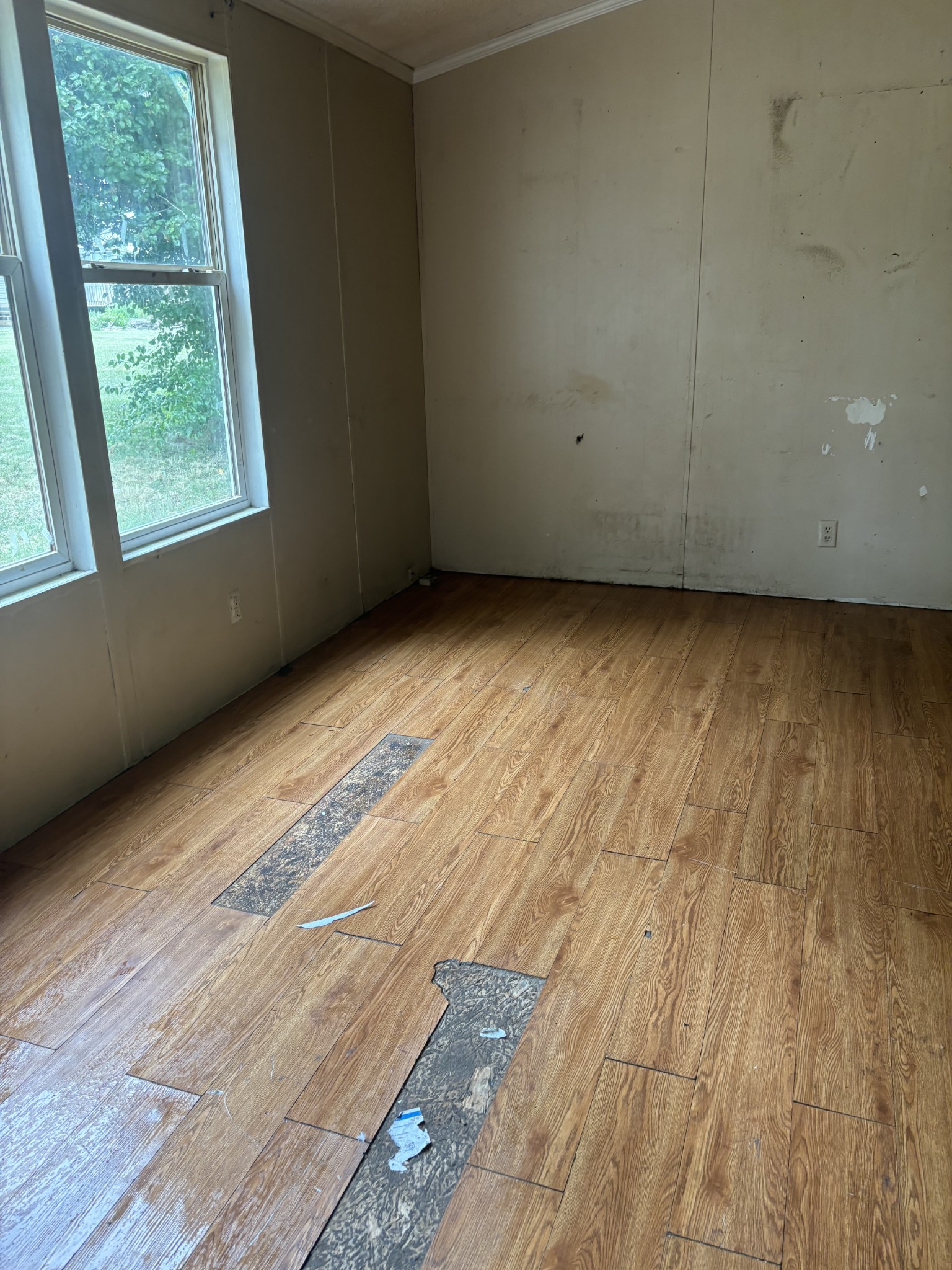 107 Elton Court Murfreesboro TN 37130