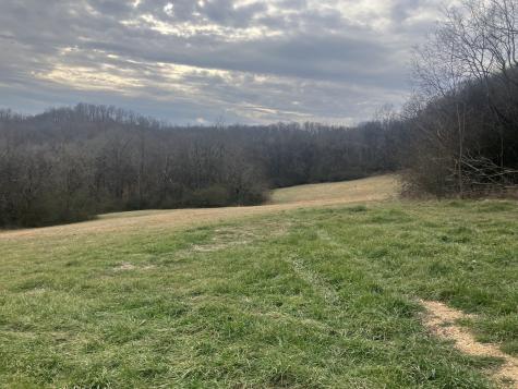 15 Booker Ridge Road Mount Pleasant TN 38474