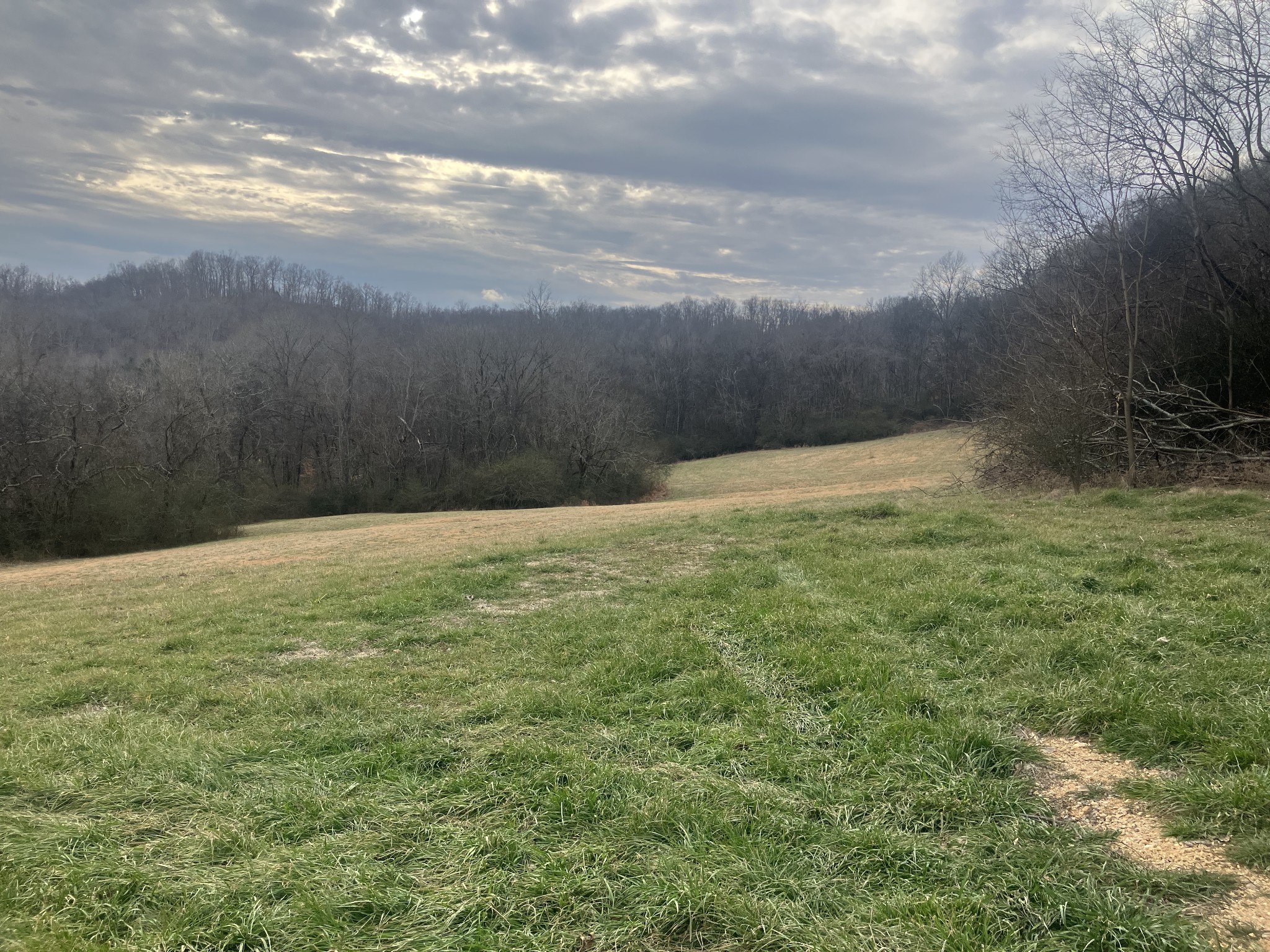 15 Booker Ridge Road Mount Pleasant TN 38474