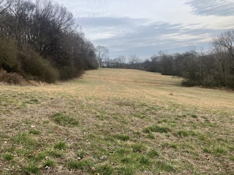 15 Booker Ridge Road Mount Pleasant TN 38474