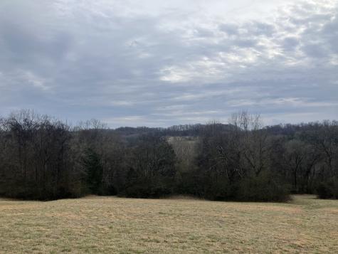 15 Booker Ridge Road Mount Pleasant TN 38474