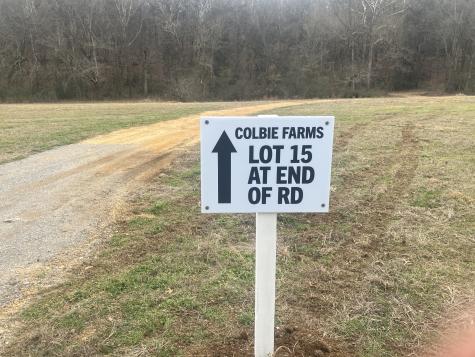 15 Booker Ridge Road Mount Pleasant TN 38474