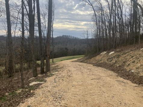 15 Booker Ridge Road Mount Pleasant TN 38474