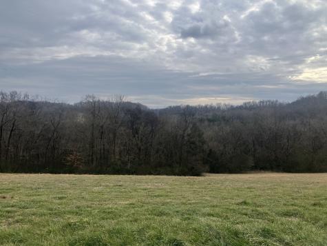 15 Booker Ridge Road Mount Pleasant TN 38474