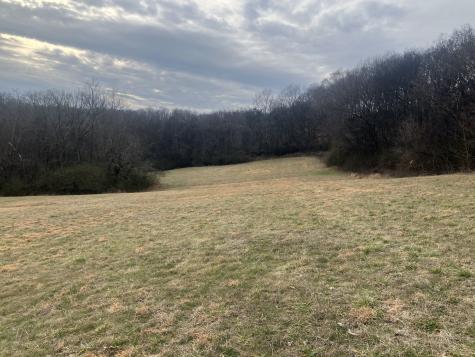 15 Booker Ridge Road Mount Pleasant TN 38474
