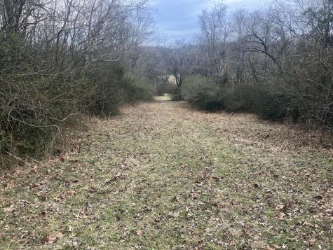 15 Booker Ridge Road Mount Pleasant TN 38474