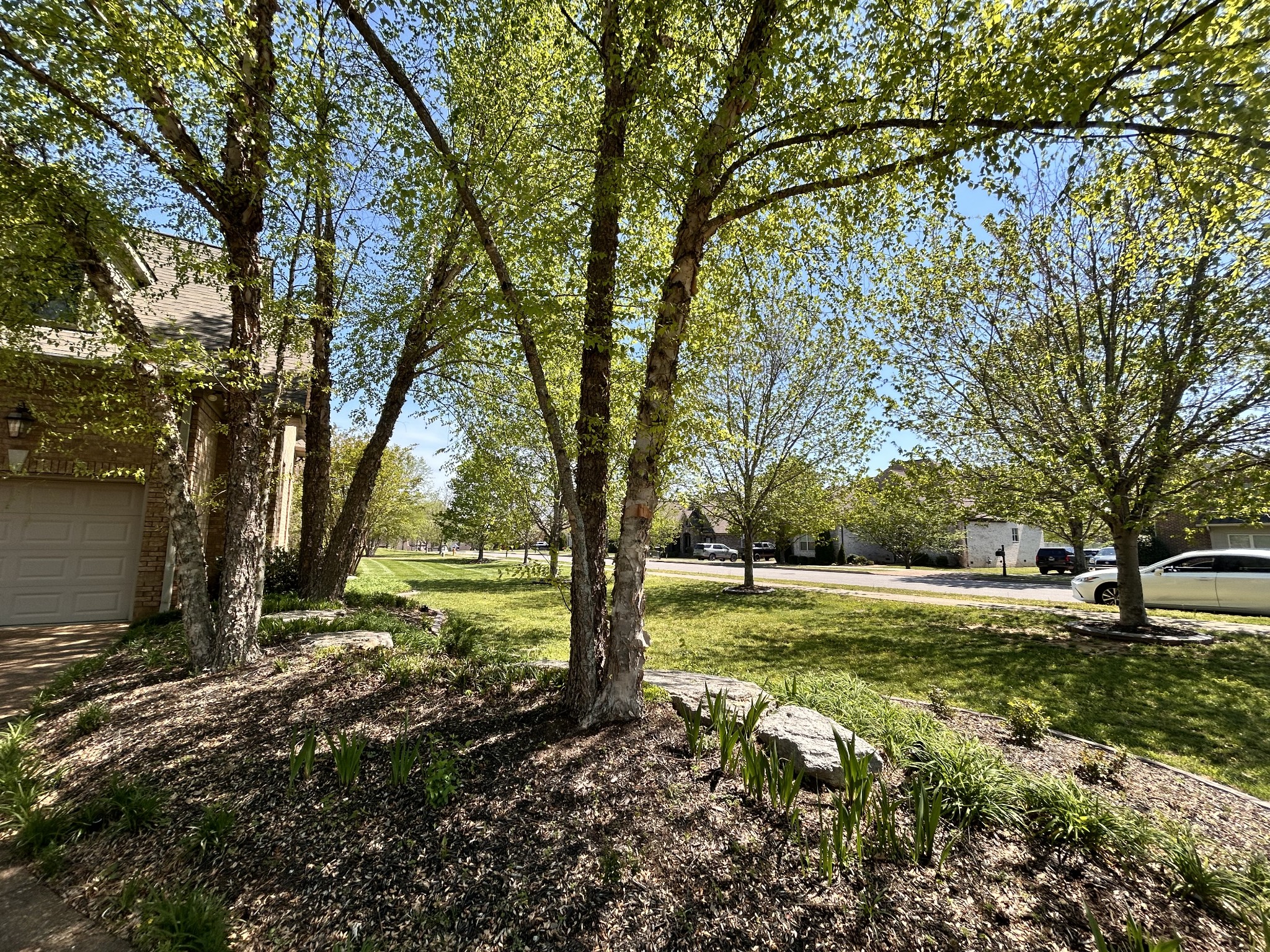 707 Farmington Drive Lebanon TN 37087