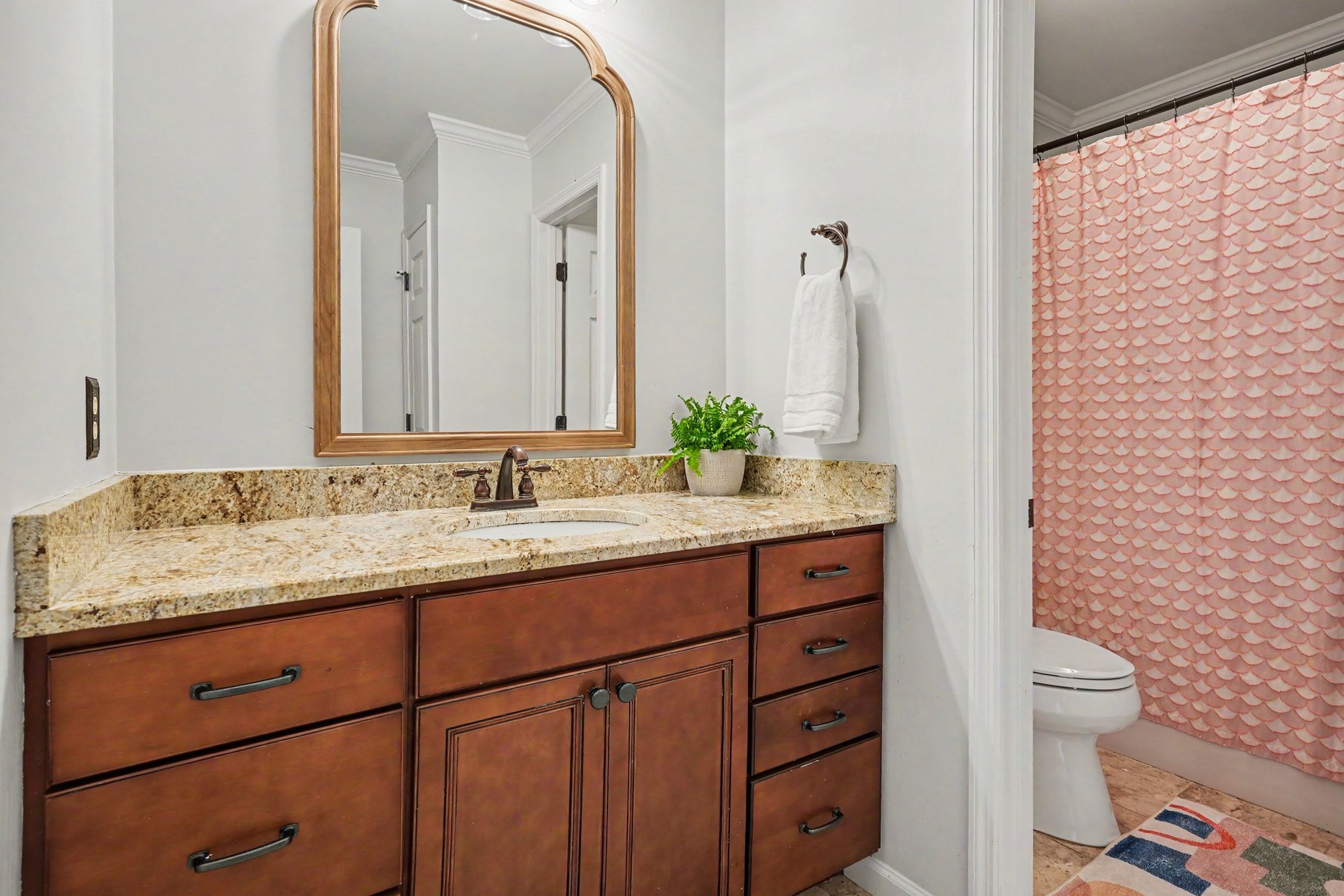 228 N Clematis Court Franklin TN 37067
