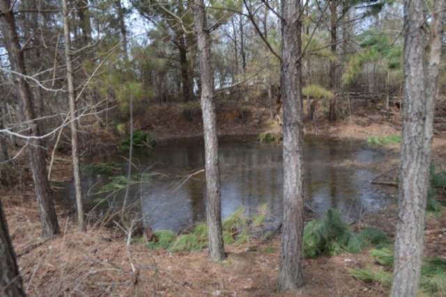 0 Boles Road Hilham TN 38568