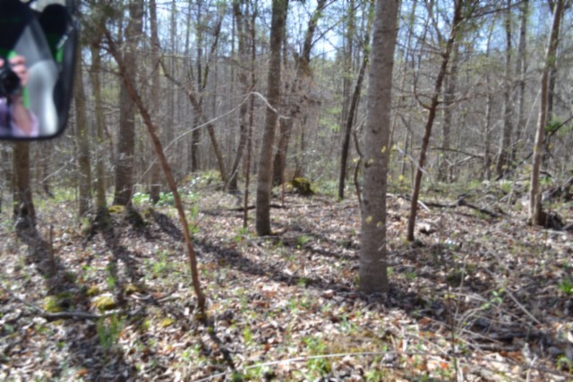 0 Boles Road Hilham TN 38568