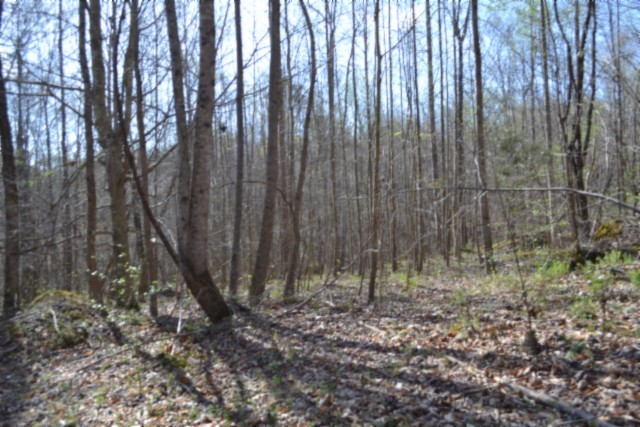 0 Boles Road Hilham TN 38568