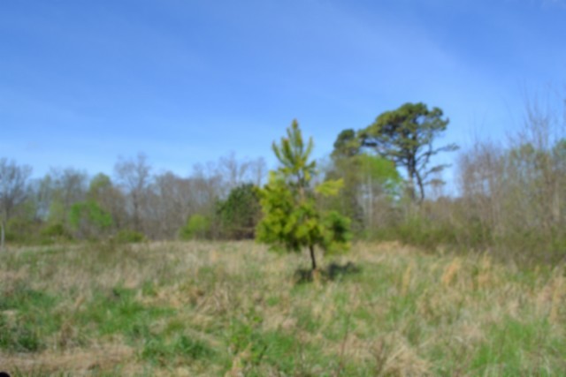 0 Boles Road Hilham TN 38568