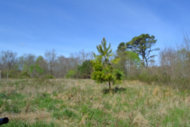 0 Boles Road Hilham TN 38568