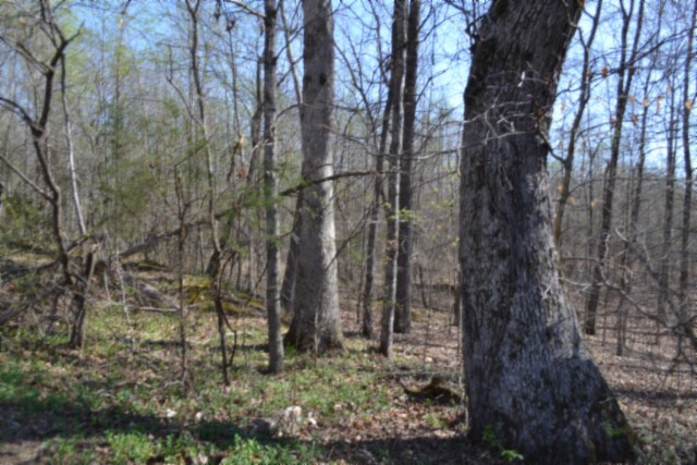 0 Boles Road Hilham TN 38568