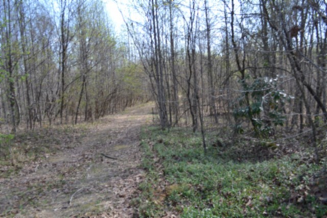 0 Boles Road Hilham TN 38568