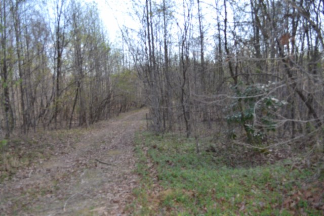 0 Boles Road Hilham TN 38568