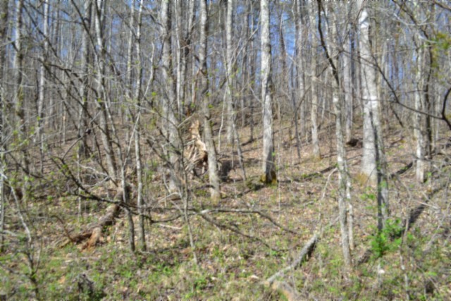 0 Boles Road Hilham TN 38568