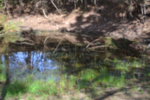 0 Boles Road Hilham TN 38568