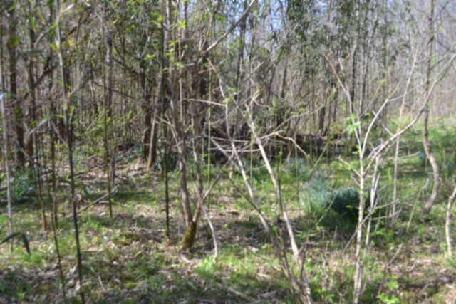 0 Boles Road Hilham TN 38568