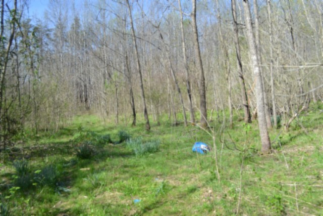 0 Boles Road Hilham TN 38568