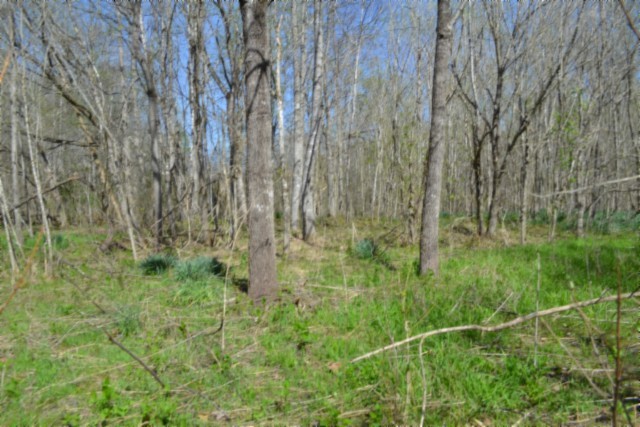 0 Boles Road Hilham TN 38568