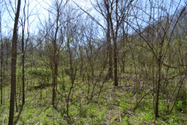 0 Boles Road Hilham TN 38568