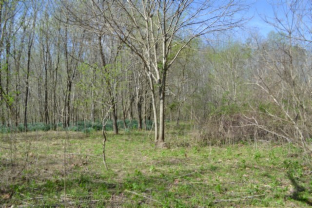0 Boles Road Hilham TN 38568