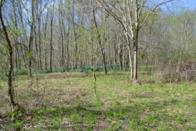 0 Boles Road Hilham TN 38568