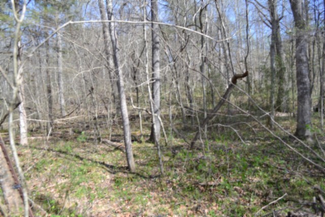 0 Boles Road Hilham TN 38568