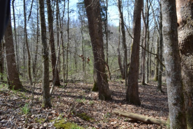 0 Boles Road Hilham TN 38568