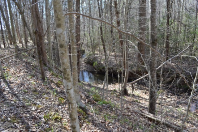 0 Boles Road Hilham TN 38568