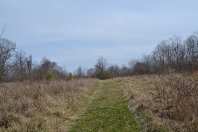 0 Boles Road Hilham TN 38568