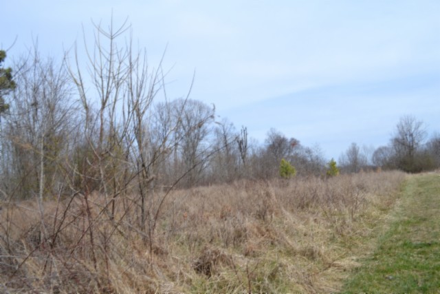 0 Boles Road Hilham TN 38568