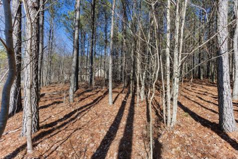 0 Raulston Falls Road Jasper TN 37347