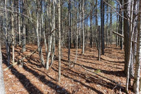 0 Raulston Falls Road Jasper TN 37347