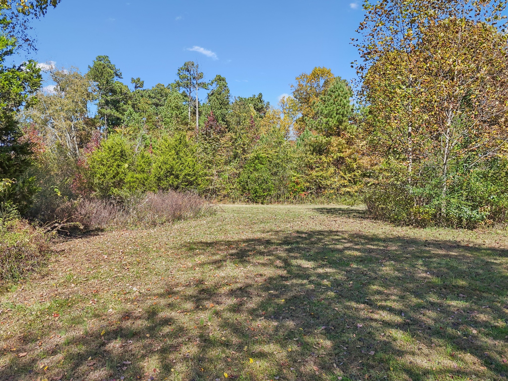 10849 Jim Cummings Highway Bradyville TN 37026