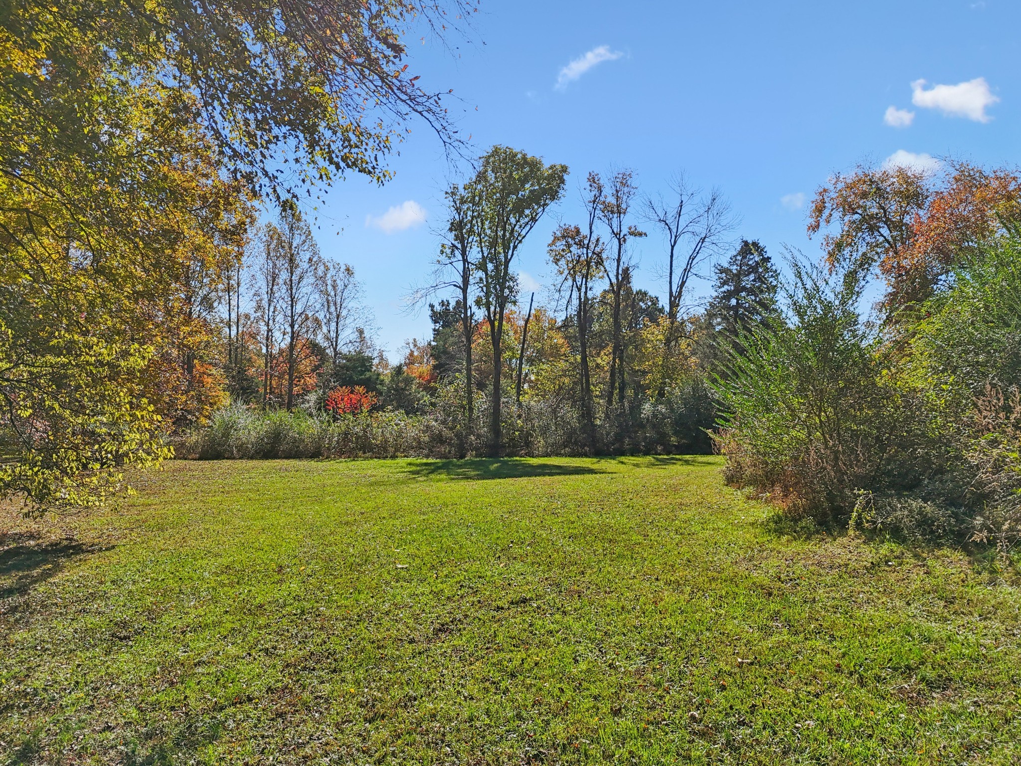 10849 Jim Cummings Highway Bradyville TN 37026