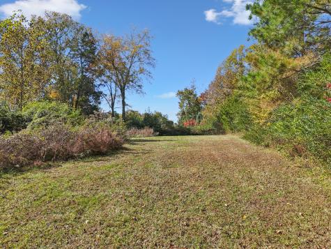 10849 Jim Cummings Highway Bradyville TN 37026