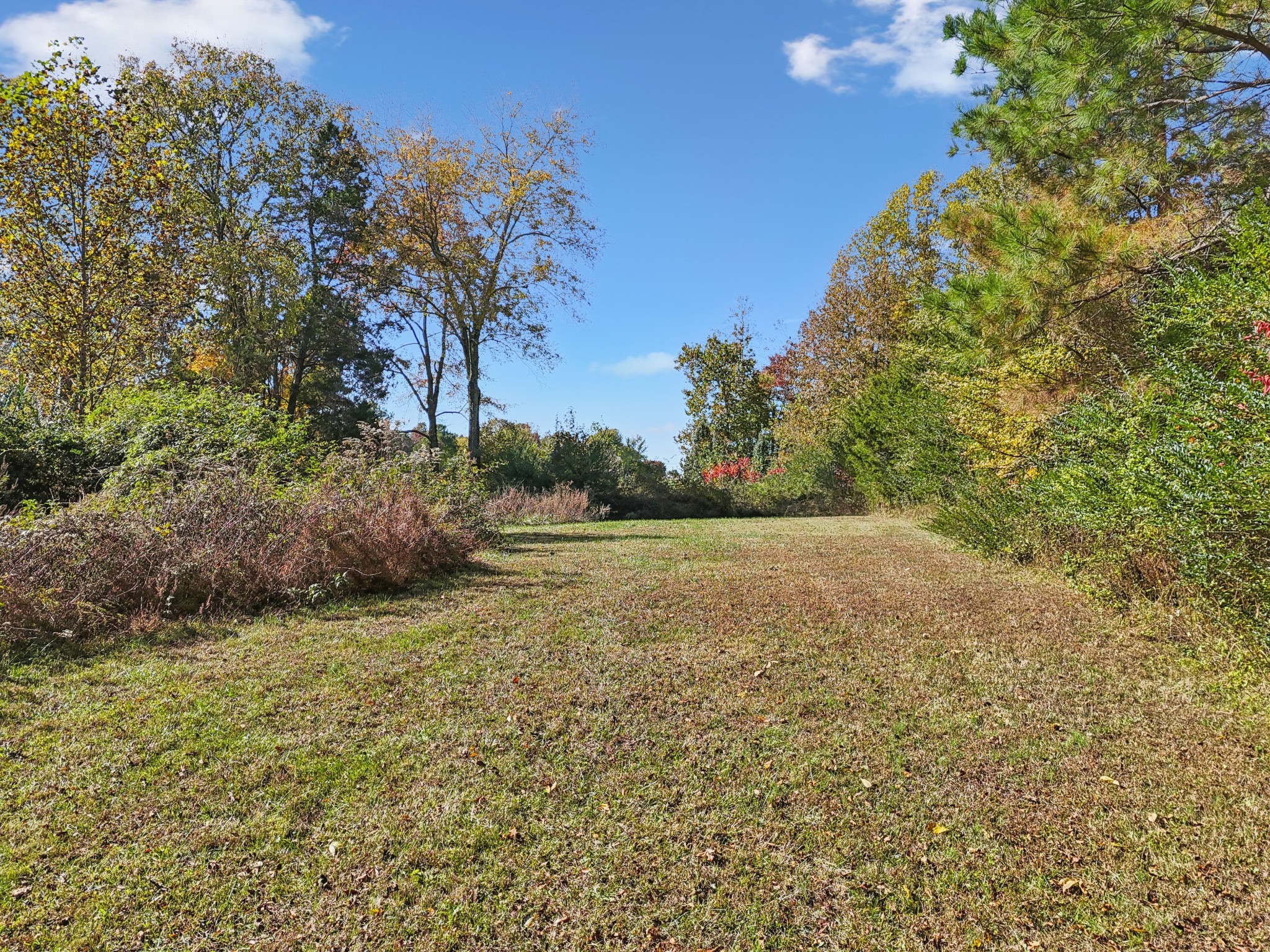 10849 Jim Cummings Highway Bradyville TN 37026