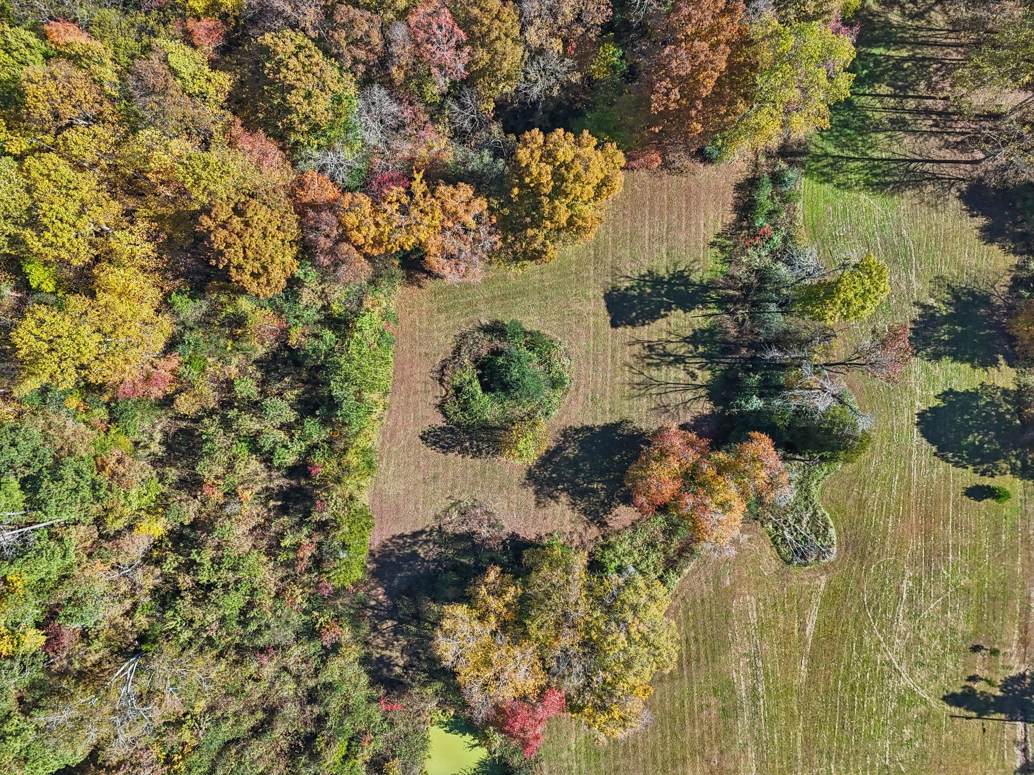 10849 Jim Cummings Highway Bradyville TN 37026