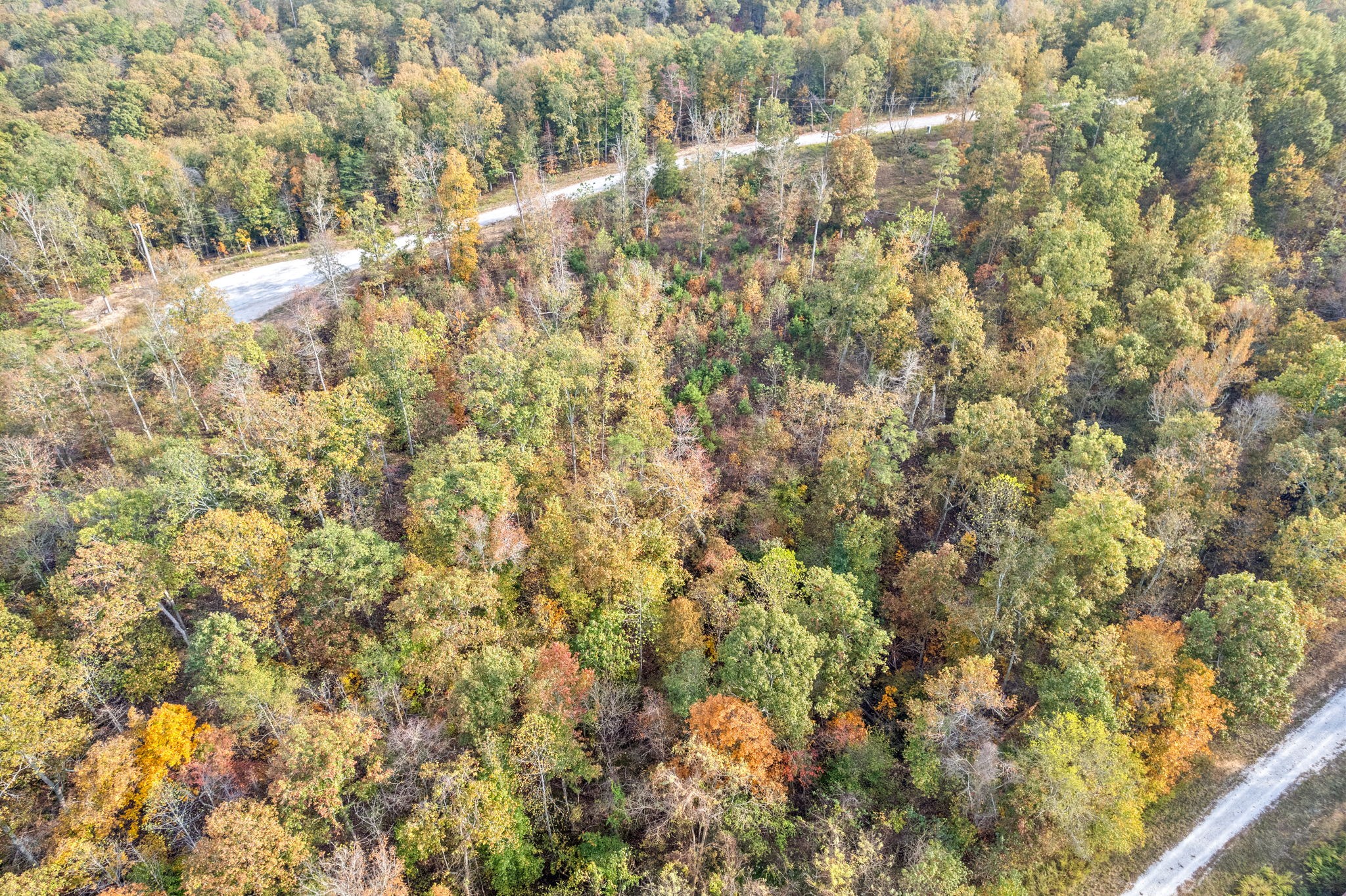 0 Crestwood Drive Waverly TN 37185