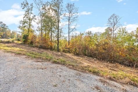 0 Crestwood Drive Waverly TN 37185