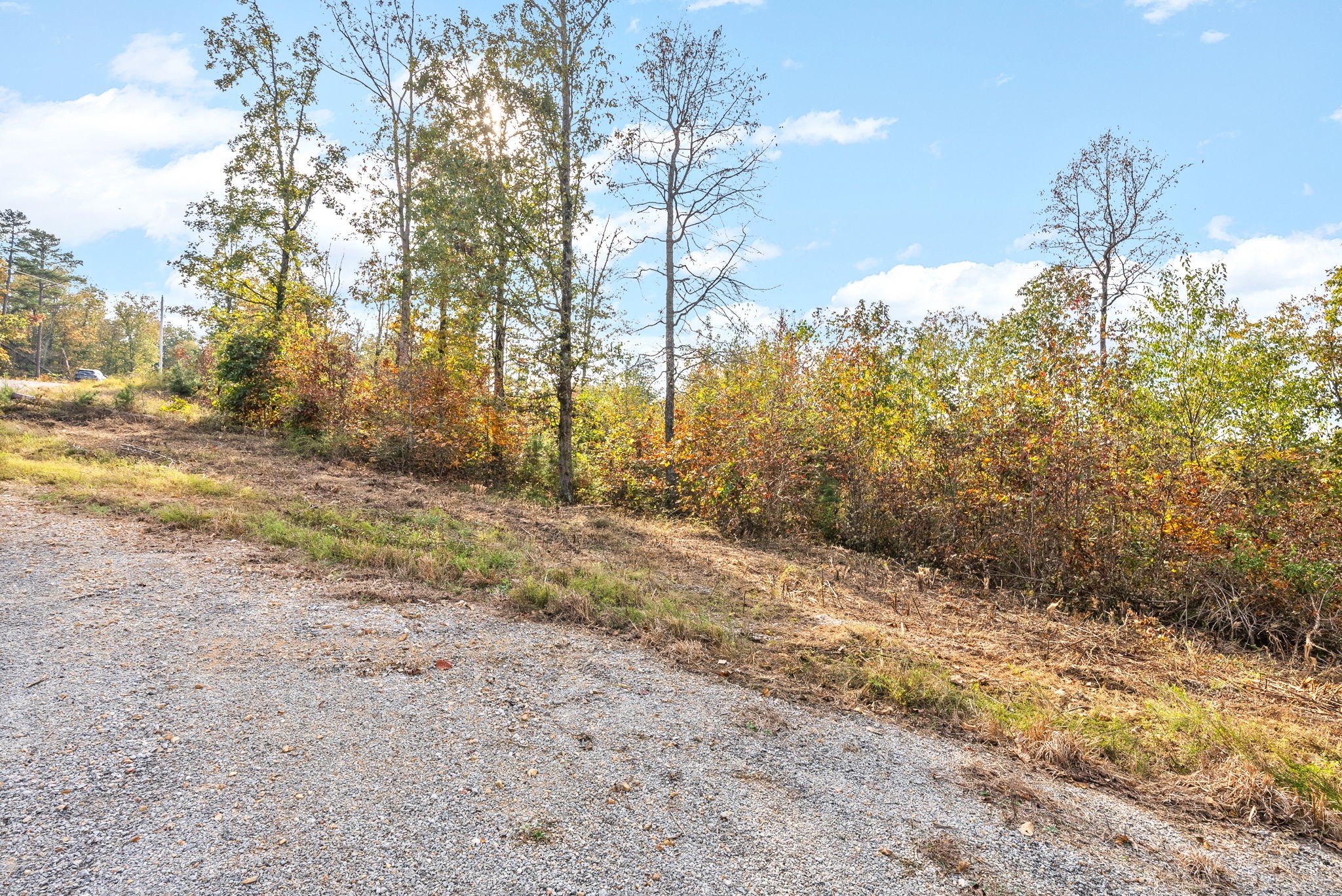 0 Crestwood Drive Waverly TN 37185