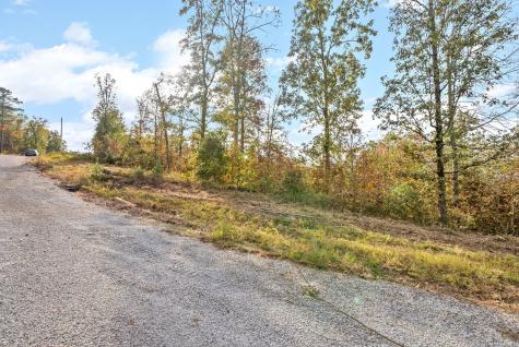 0 Crestwood Drive Waverly TN 37185