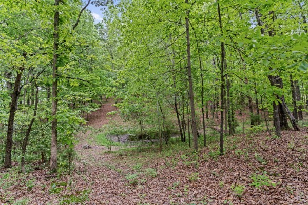 121 Hannah Road Summertown TN 38483
